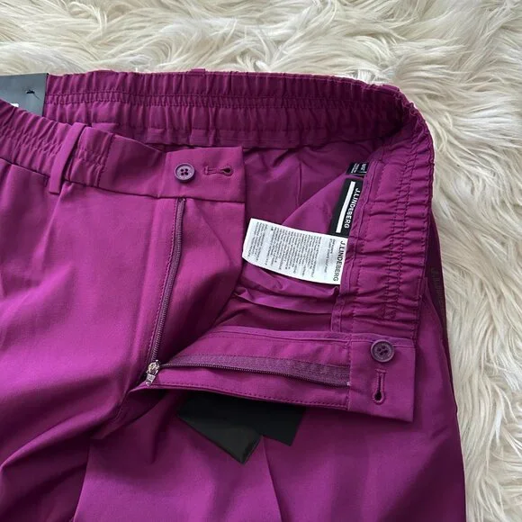 J. Lindeberg Stuart Men's 33x32 Side Stripe Golf Pant GMPA06876 Q266 Purple NEW - Picture 9 of 12